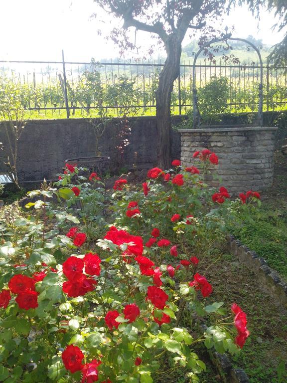 Гостевой дом Casa Badinot Диано-д'Альба Номер фото